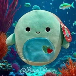 Cascade the Turtle Valentine’s Day Squishmallow 🩷🐢